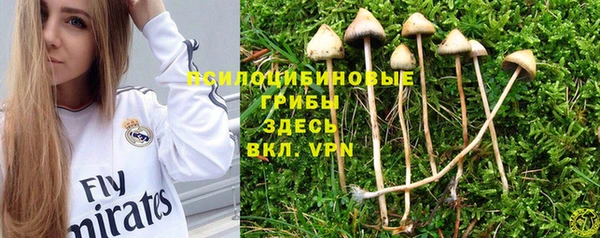 спиды Алзамай